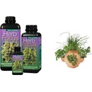 Growth Technology Herb Focus 100 ml