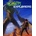 Planet Explorers