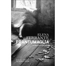 Fragments Ferrante Elena