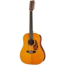 Tanglewood TW40