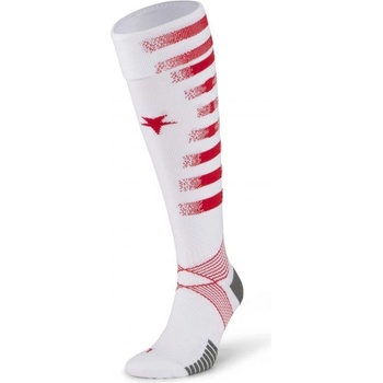 Puma TEAM SKS HOME socks