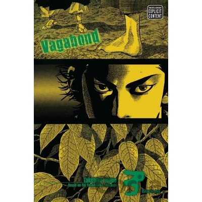 Vagabond, Vol. 3 VIZBIG Edition