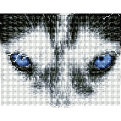 DIAMOND DOTZ Diamantové malování Husky s rámem DQK7004 26 x 20,3 cm
