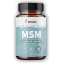 Blendea MSM 90 kapsúl