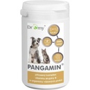 Dromy Pangamin 2000 tbl