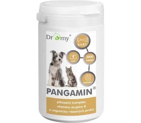 Dromy Pangamin 2000 tbl