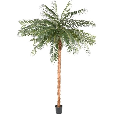 Umělá palma Phoenix přírodní kmen, 450cm