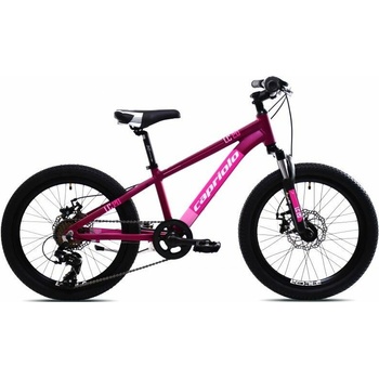 CAPRIOLO MTB LC 2025