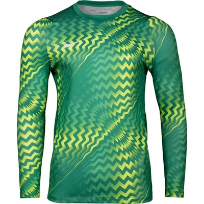 Nike Dri-FIT Gardien VI Goalkeeper Long Sleeve hv8306-324
