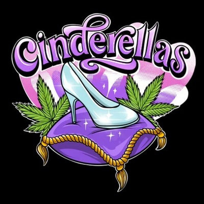 Sumo Seeds Cinderellas semienka neobsahujú THC 3 ks