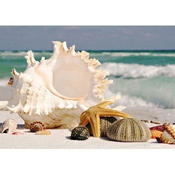 Image 1 of Морски дарове 40/30 см