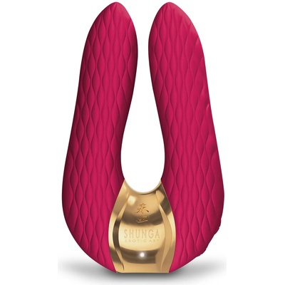 SHUNGA Aiko Raspberry