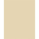 FOLIA Декоративен картон, двустранен, a4, 220 г, 100 листа, folia, цвят „шамуа 6122/4/10 (6122/4/10)