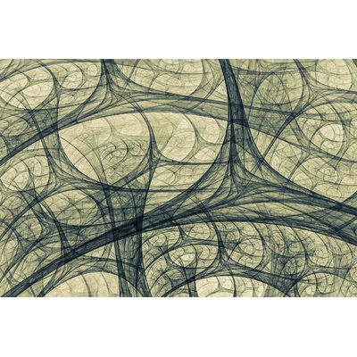 DIMEX ART Флизелинов фототапет абстрактни криви 375 x 250 см