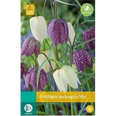 JUB Řebčík kostkovaný Fritillaria meleagris mix