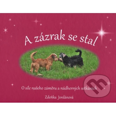 A zázrak se stal: O síle našeho záměru a nádherných setkáních - Zdeňka Jordánová