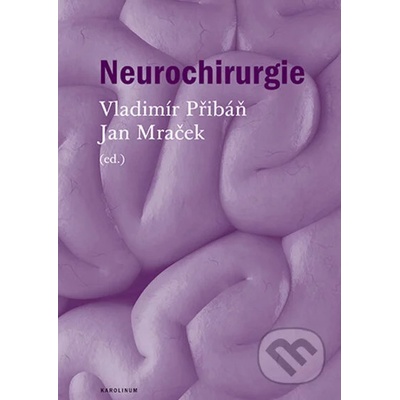 Neurochirurgie - Vladimír Přibáň
