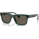 Ray-Ban RJ9196S 7189/3