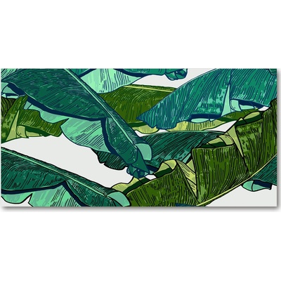 Fotoobraz na skle lístie banánovníka 100x50 cm