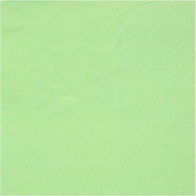 Santex Ubrousky papírové mintové 21x20 cm 10 ks