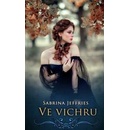 Ve vichru
