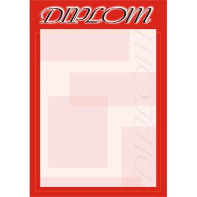 TROFEJE.sk Diplom 13