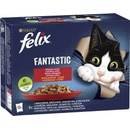 Felix Fantastic masový výběr 12 x 85 g