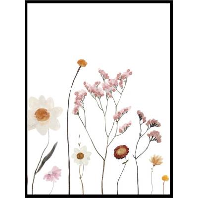 Obraz WILDFLOWERS III Velikost: 30 x 40