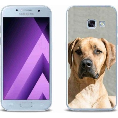 Pouzdro mmCase gelové Samsung Galaxy A3 (2017) - ridgeback