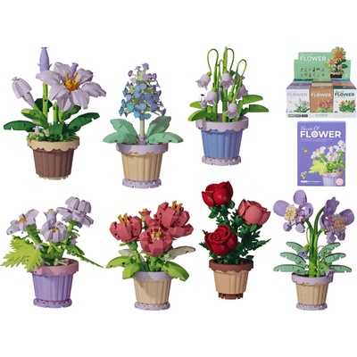Mikro trading Rostlina v květináči - 12 druhů