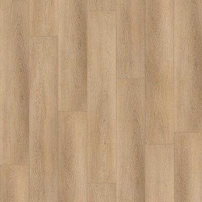 KPP Smart SPC Dub Kamila 20011 2,196 m²