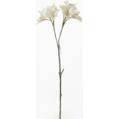 Alstromeria smotanová 67cm 8200410