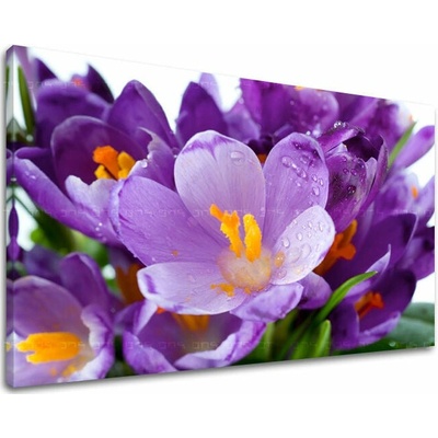 Obraz na stenu KVETY - 20x30