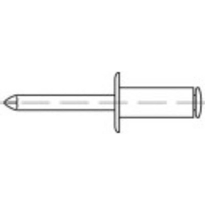 TOOLCRAFT 159993 trhacie nit (Ø x d) 3 mm x 8 mm nerezová ocel ocel 500 ks