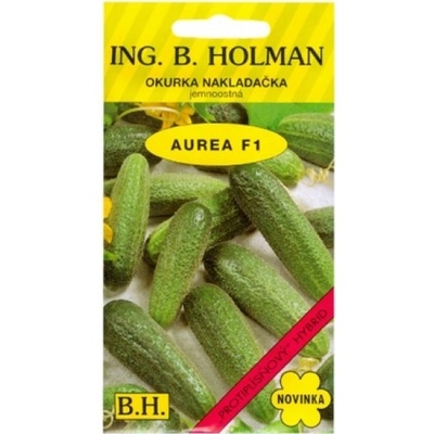 Okurky Holman Okurka nakladačka F1 Aurea Holman