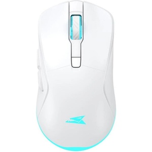 Baracuda Turtle-W BC (BGM-122W)