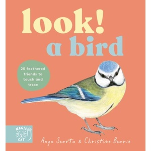 Look! A Bird! | Anya Serota (ISBN: 9781917044622)