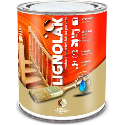 Color Company Lignolak 5 l lesklý