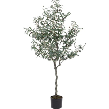 Bizzotto ИЗКУСТВЕНО РАСТЕНИЕ olive 150cm ЗЕЛЕНО (0172614)