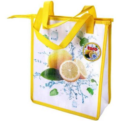TAŠKA CHLADÍCÍ NA ZIP CITRON 33X28X13CM