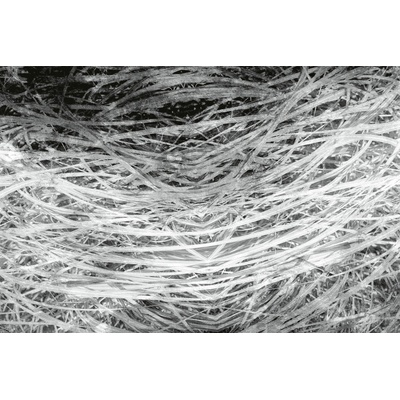 DIMEX MS-5-0382 vliesová fototapeta rozměry 375 x 250 cm