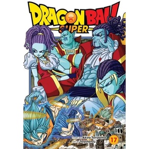 Dragon Ball Super, Vol. 17 (ISBN: 9781974734511)