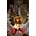 Buch! - Terry Pratchett
