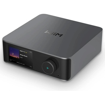 Wiim Amp Ultra