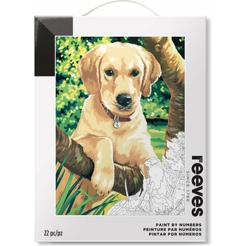 Reeves Labrador 30 x 40 cm