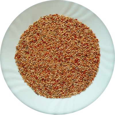 Avicentra Classic Andulka 4 kg