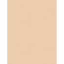 L'Oréal Paris Infaillible make-up SPF15 120 Vanille 30 ml