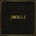 JUNGLE: JUNGLE LP