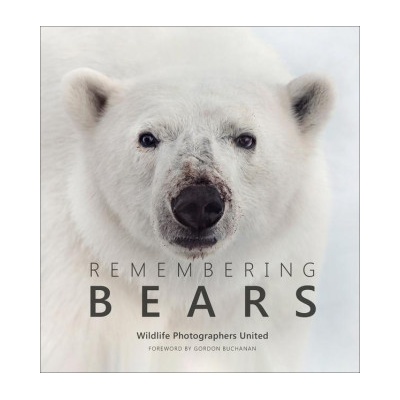 Remembering Bears