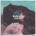 Halsey - Badlands LP
